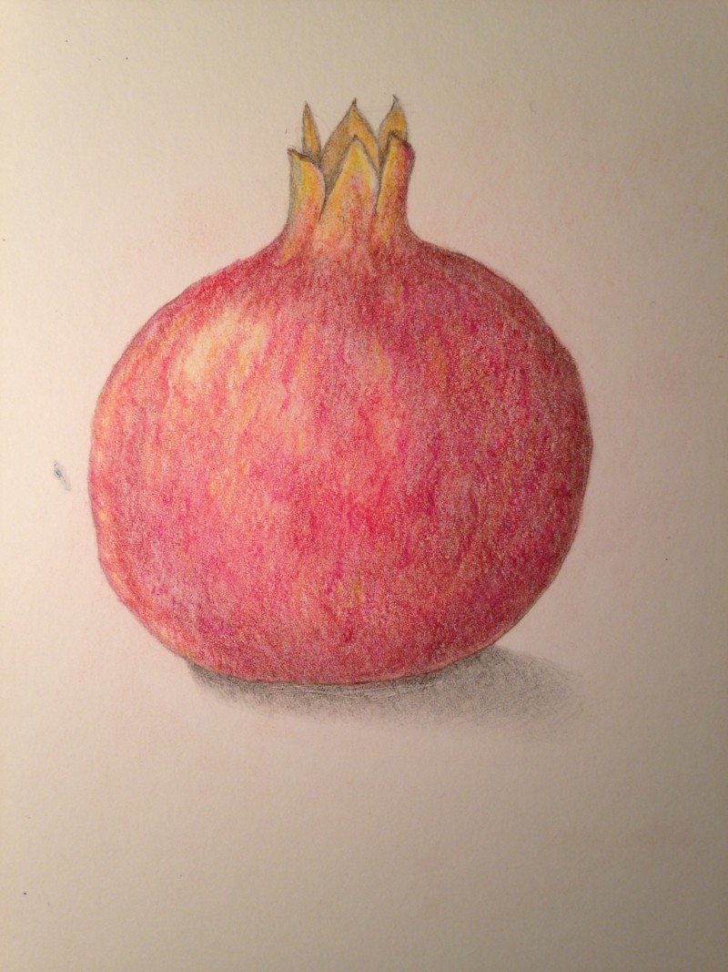 pomegranate-w-cast-shadow