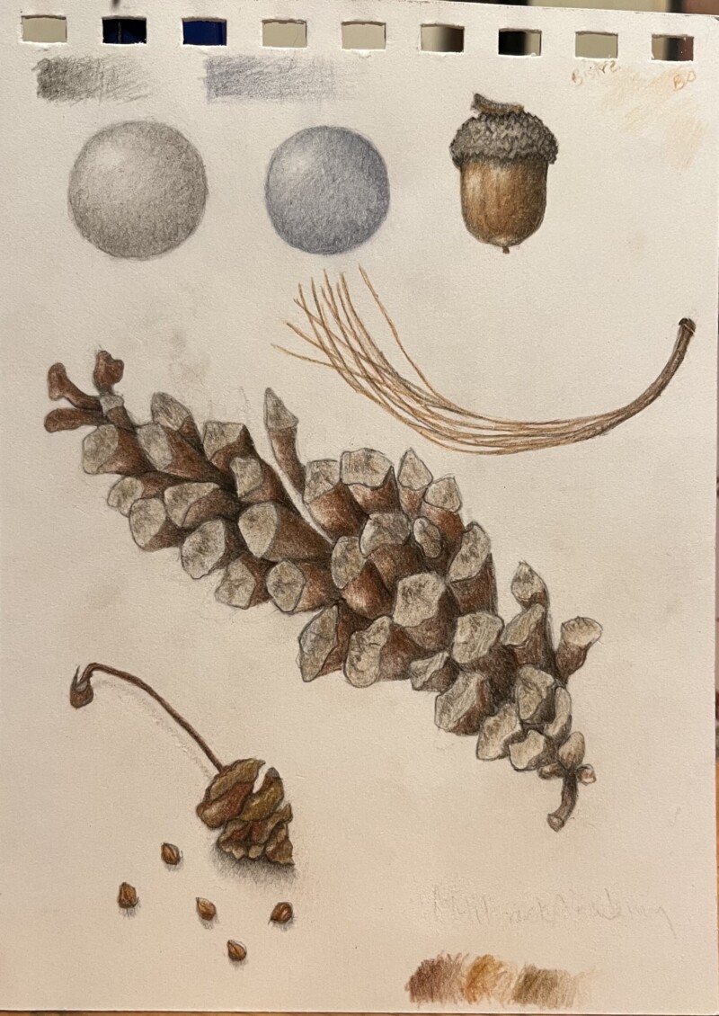 study-sheet
