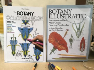 New botany coloring books!