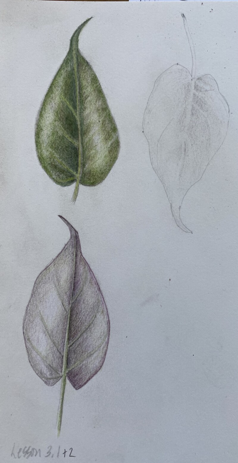 lesson3_2