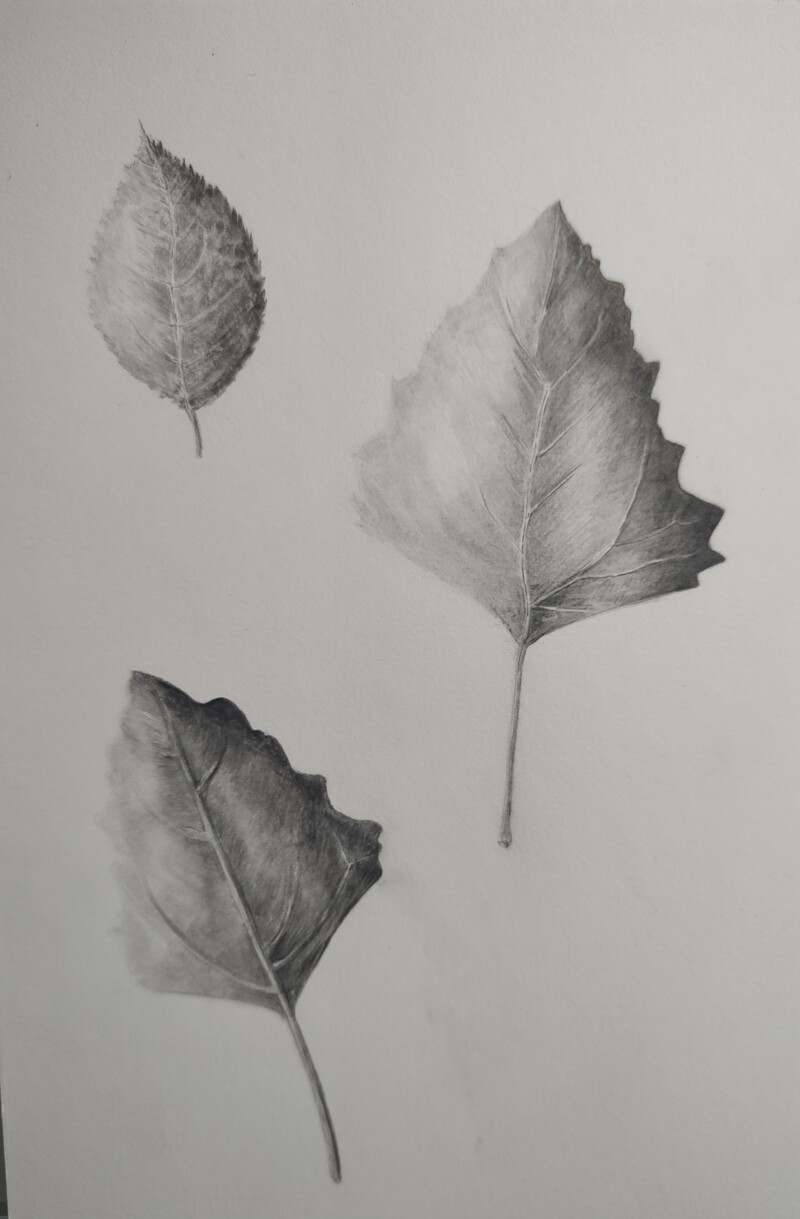 img_20250621_130805751