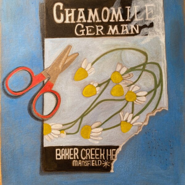 Trompe L\'oeli - chamomile seed packet & scissors 