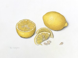 14250E2E-C1DF-4912-A79E-07C6E08622B9
