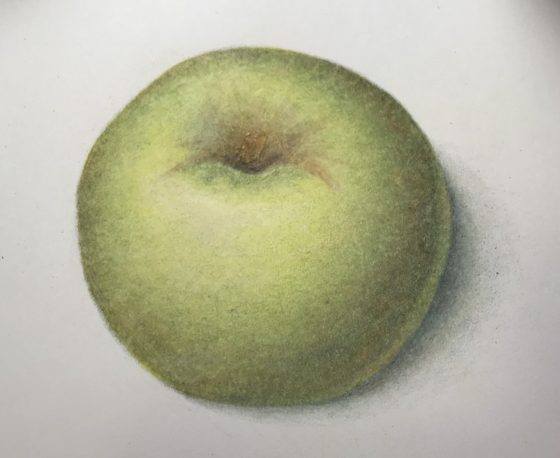 apple-from-2018-when-i-first-started-these-classes