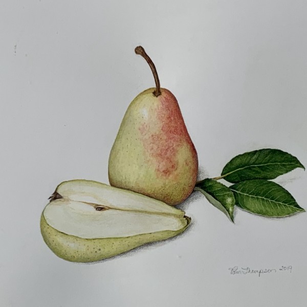 Pears Aug 2019