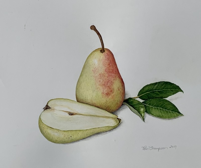 pears-aug-2019