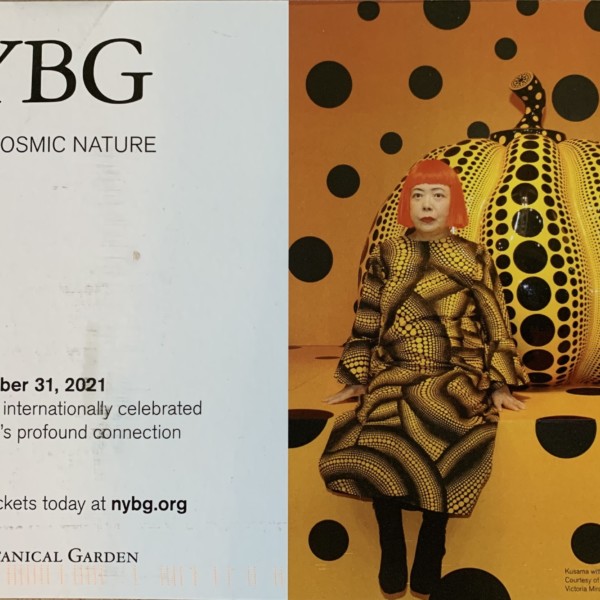 Reminds me of Jill’s art