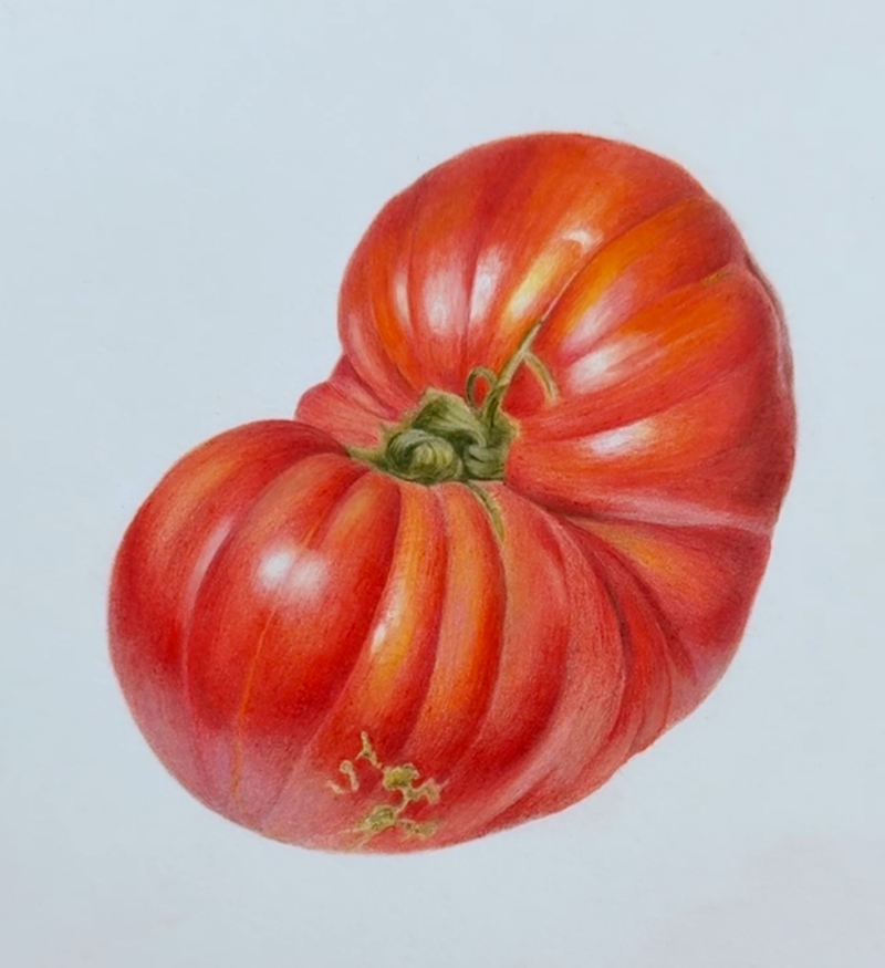 heirloom-tomato-4