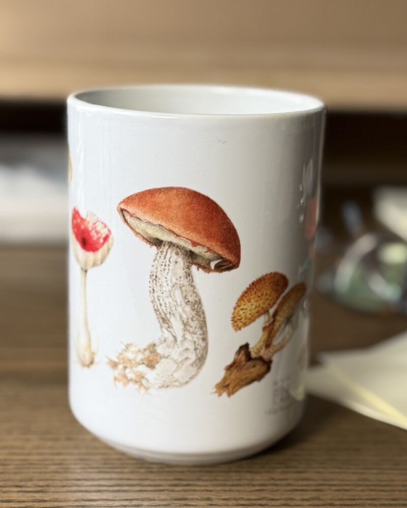 fun-little-bday-gift