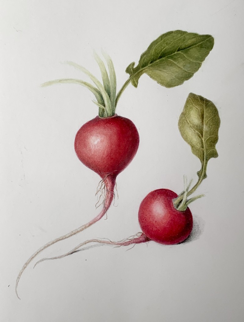 demo-during-april-botanicals-for-beginners-workshop