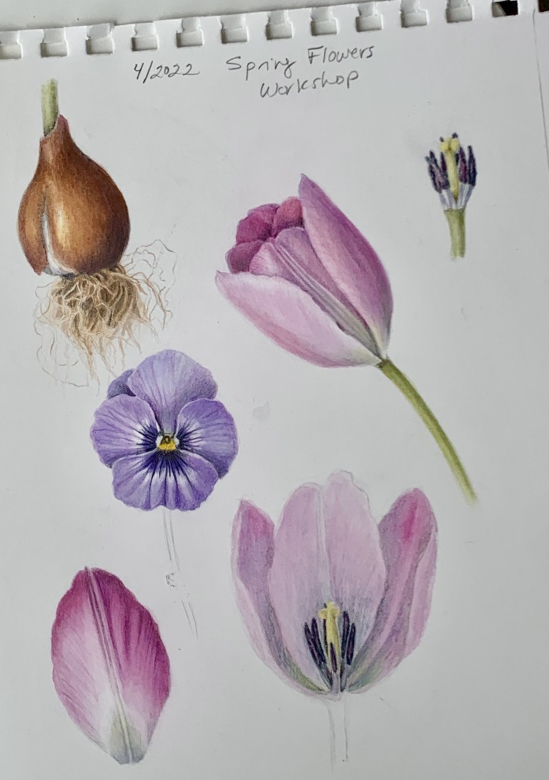 demo-during-april-spring-flowers-workshop