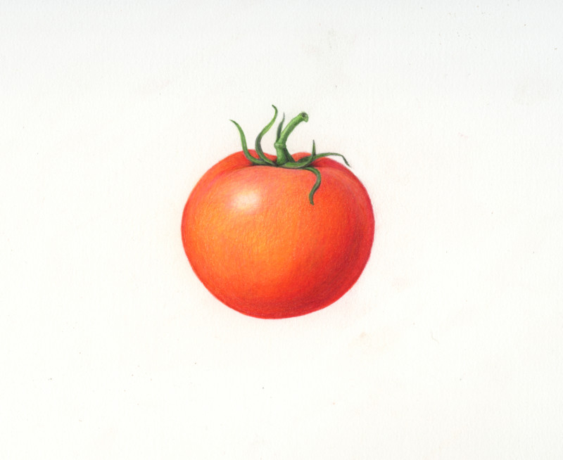 tomato-4