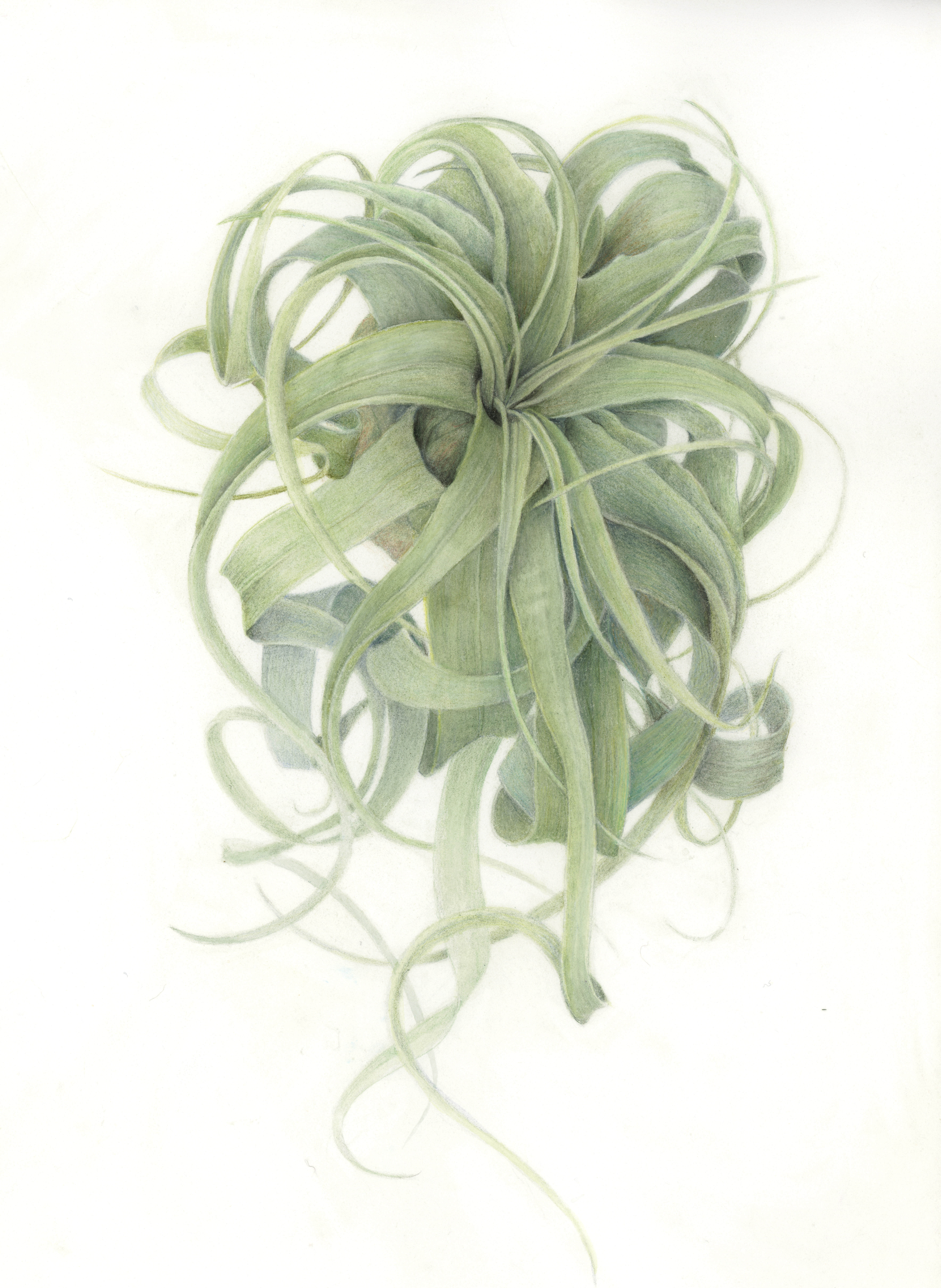 more-twists-rolls-folds