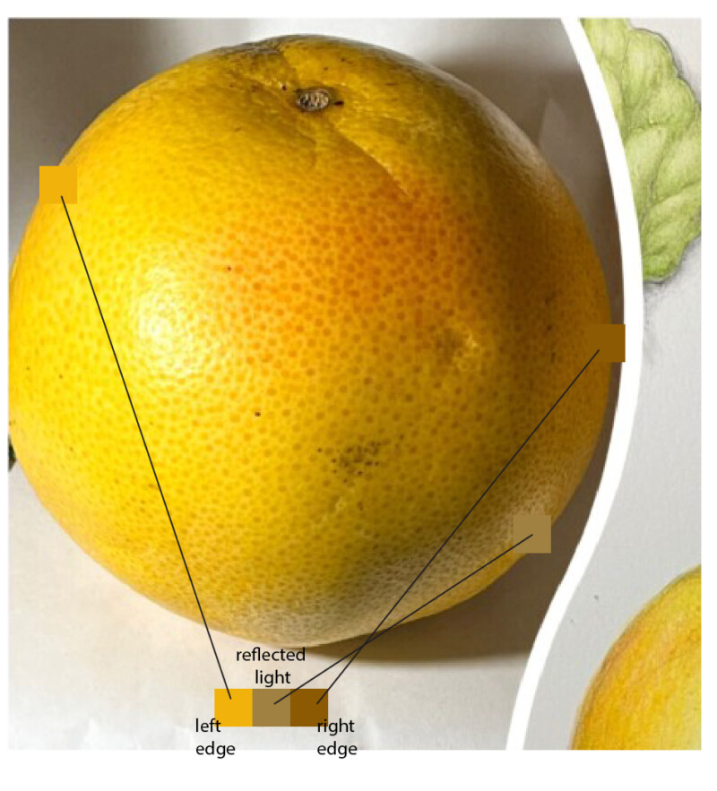 heather-orange-values-01