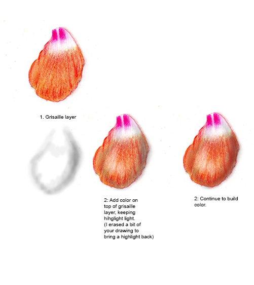 richards petal example