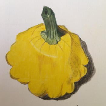 pattypan2