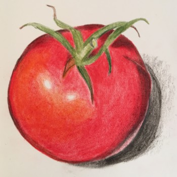 tomato1