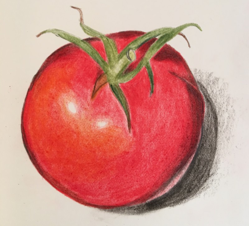 tomato1