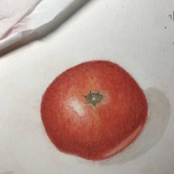 Exercise page 59-60 Joy of Botanical Drawing