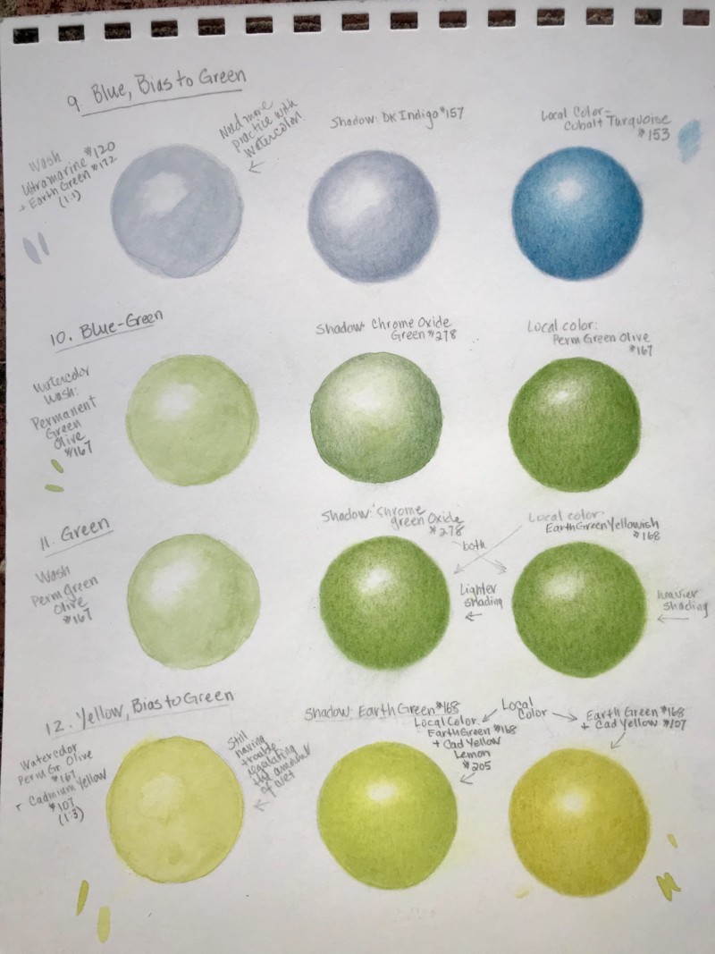 exercise-page-65-66-joy-of-botanical-drawing
