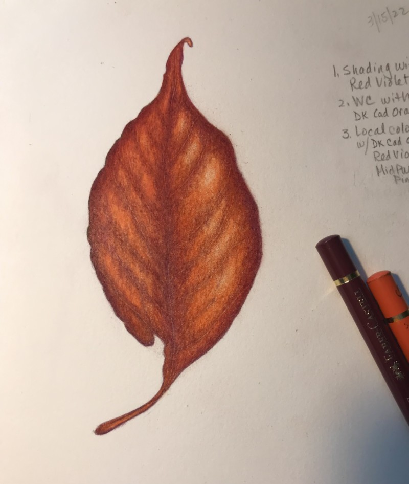 leaf-practice-old-dogwood-leaf
