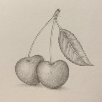 lesson-19-small-fruit-study