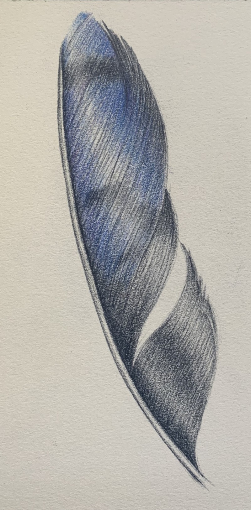 lesson-22-feather-pattern