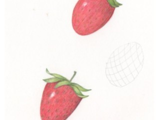 Botanical Practice Strawberry 2