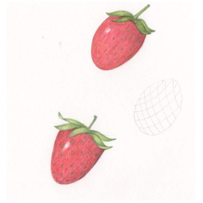 botanical-practice-strawberry-2