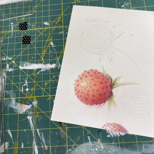false strawberry
