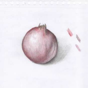 pomegranite-pencil-on-sketchpaper-nov-24