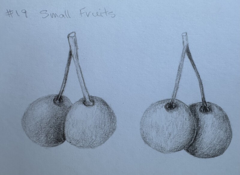 19-overlapping-fruits