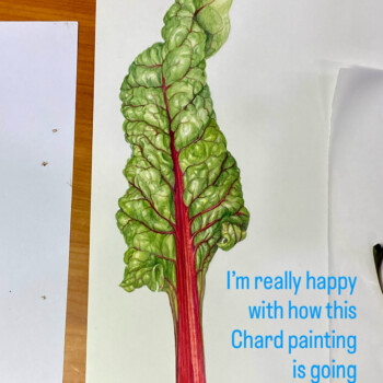 chard-demo-zoom-complex-leaves-puffy