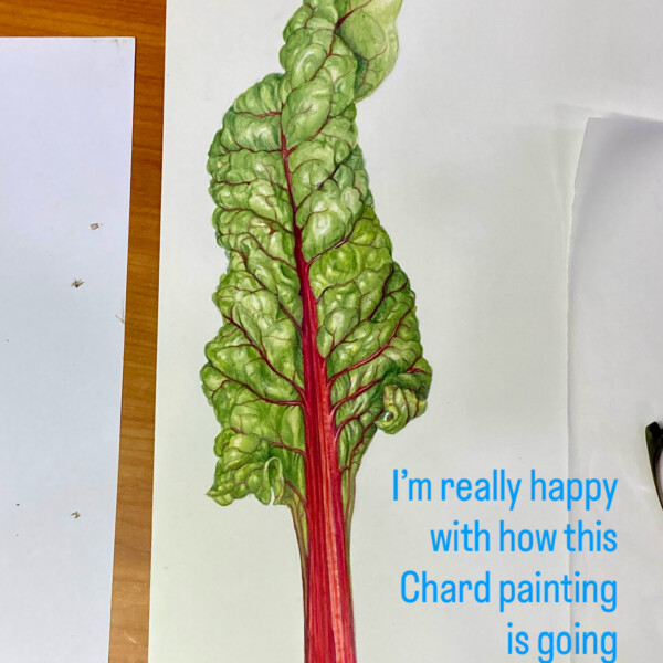 Chard demo Zoom complex leaves - puffy!