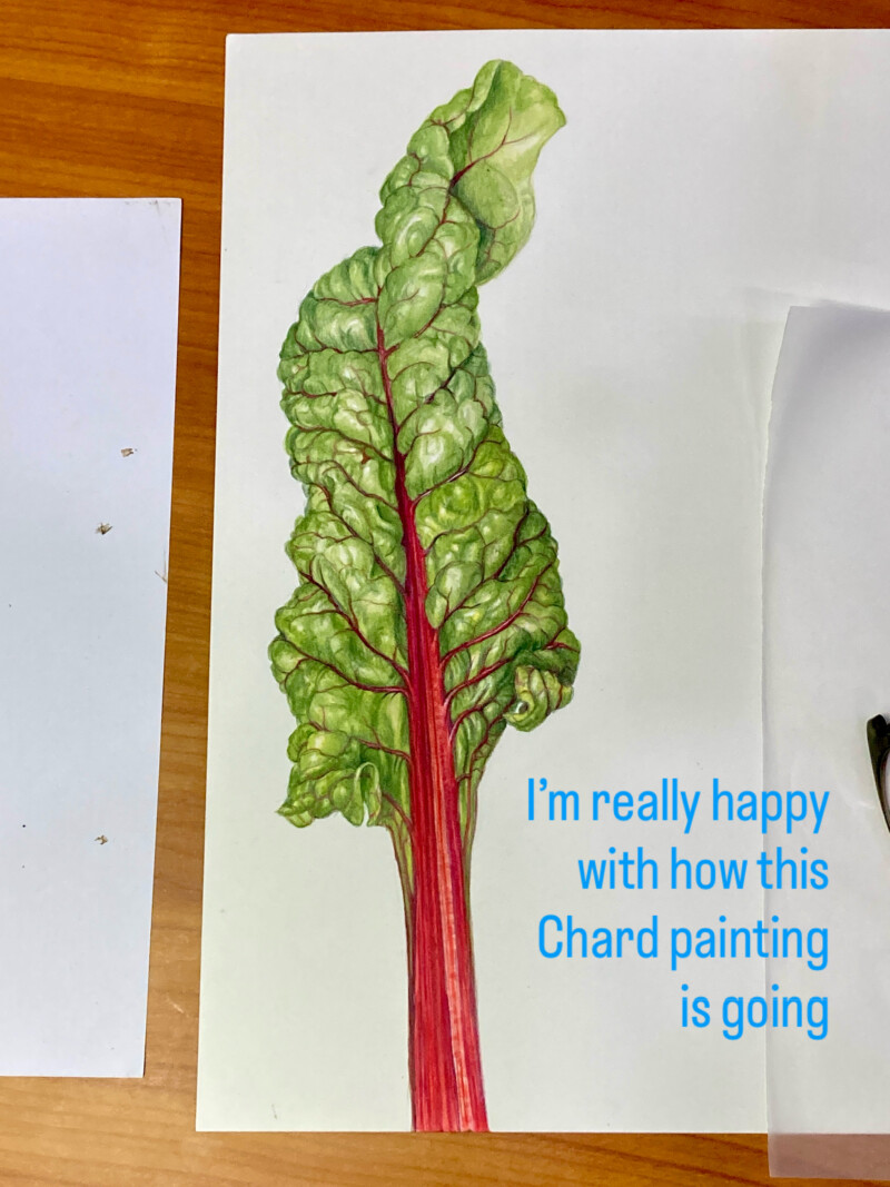 chard-demo-zoom-complex-leaves-puffy