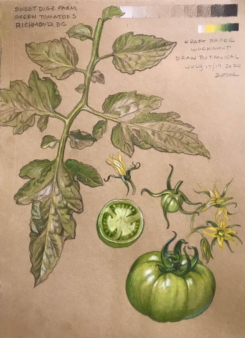 green-tomato-kraft-paper-workshop-july-2020