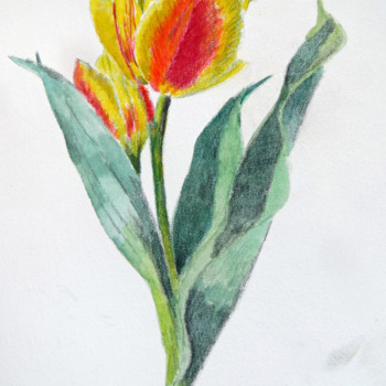 tulip-painting