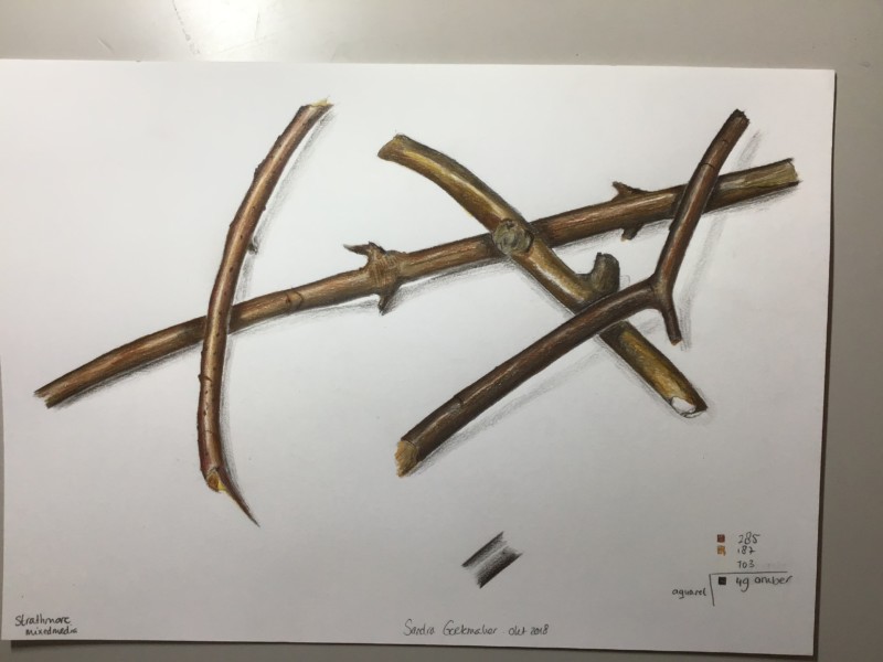 026b0513-ddc4-4d56-b2c9-c23a78d4a847