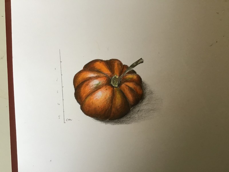 54111456-60b9-48de-b118-648f793b1fbe