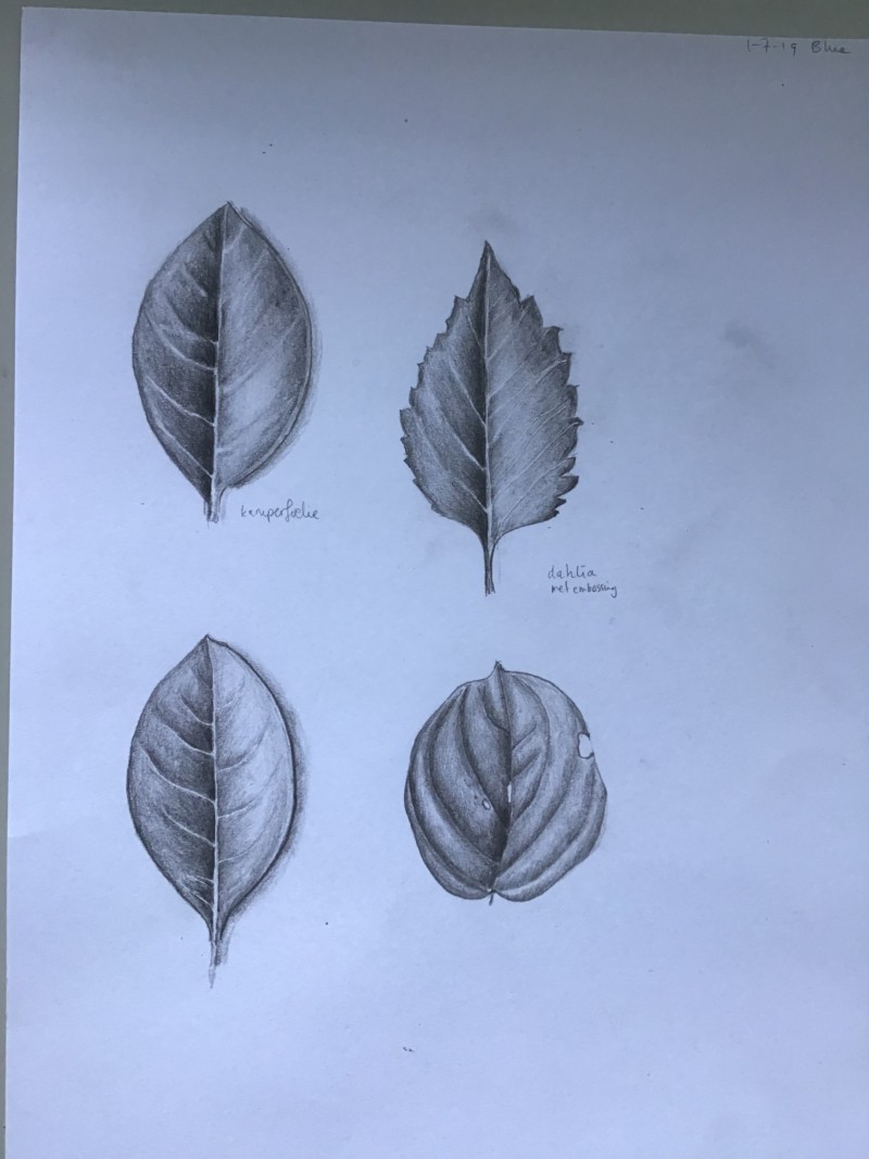 leaves-4
