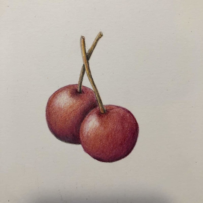 little-plums