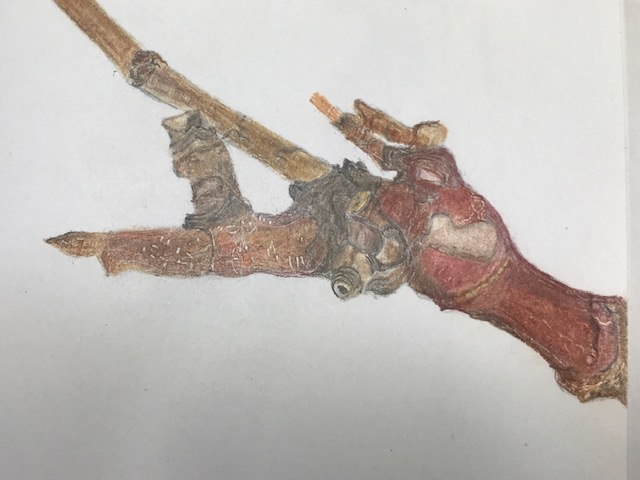 american-sycamore-with-brooming-detail