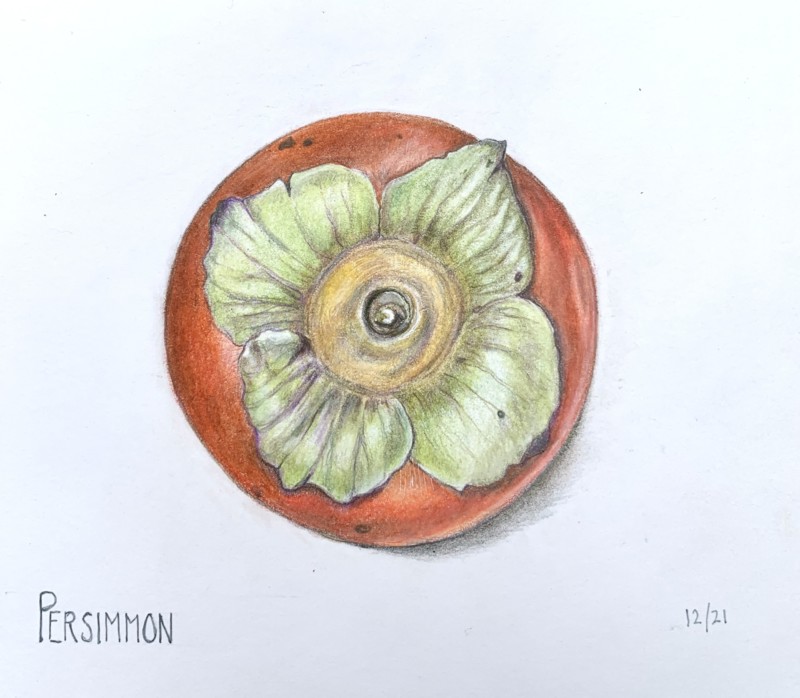 persimmon-2