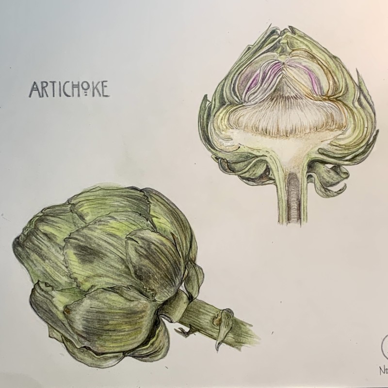 artichoke-2