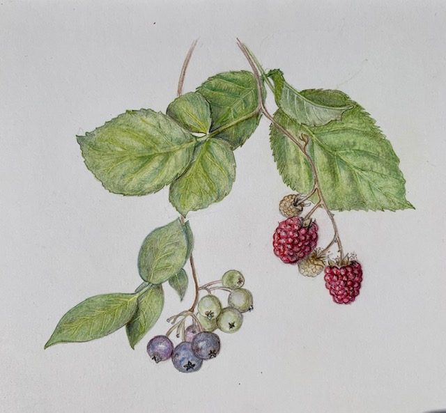 berry-workshop