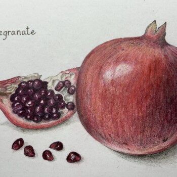pomegranate-7