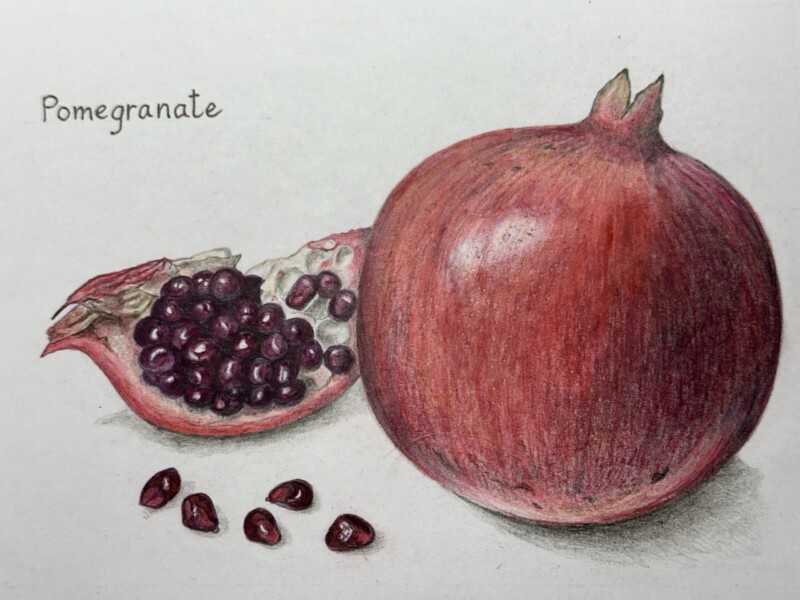 pomegranate-7