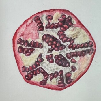 pomegranate-cross-section