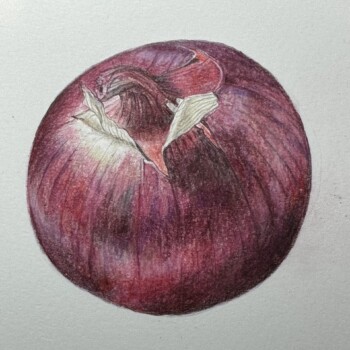 red-onion-7