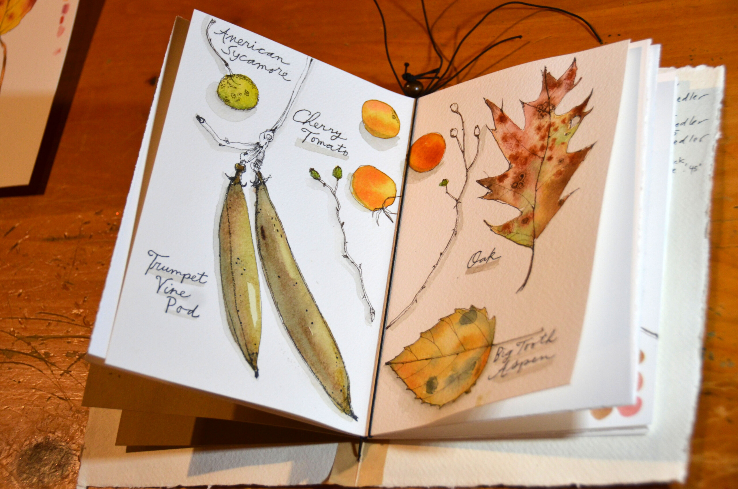 BLOOM 2026 at The Ashokan Center - Image 5